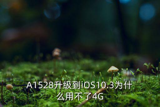 A1528升級到iOS10.3為什么用不了4G