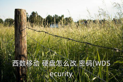 西數(shù)移動(dòng) 硬盤(pán)怎么改 密碼(WDSecurity