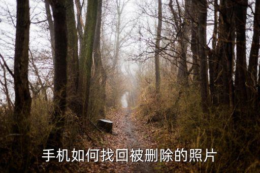 安卓照片數(shù)據(jù)恢復(fù),u1tdata安卓數(shù)據(jù)恢復(fù)