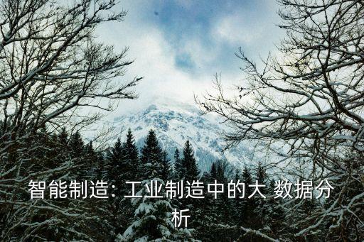 智能制造: 工業(yè)制造中的大 數(shù)據(jù)分析