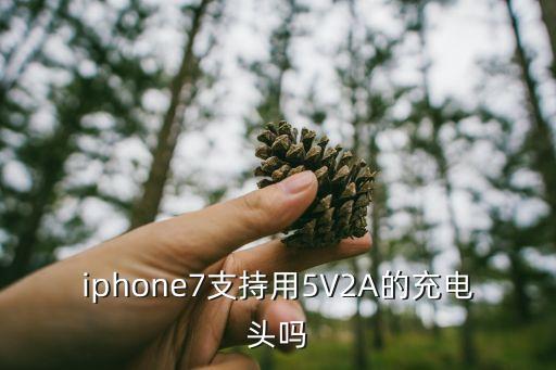 蘋果7充電器數(shù)據(jù)線圖片,蘋果14promax有充電器和數(shù)據(jù)線嗎