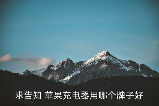 求告知 蘋果充電器用哪個(gè)牌子好