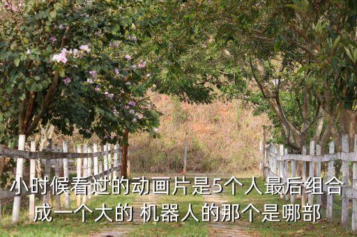 小時(shí)候看過(guò)的動(dòng)畫片是5個(gè)人最后組合成一個(gè)大的 機(jī)器人的那個(gè)是哪部