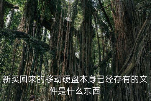 西部數(shù)據(jù)mybook軟件,MyBook軟件