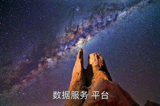  數(shù)據(jù)服務(wù) 平臺(tái)