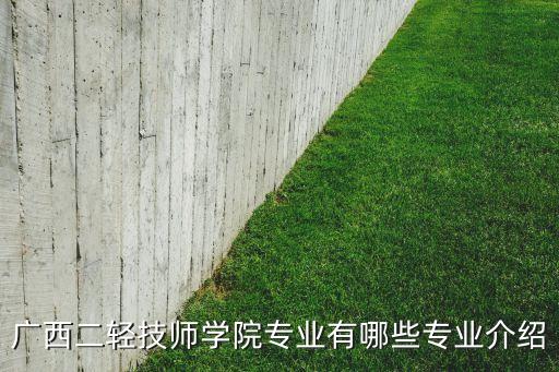 廣西二輕技師學(xué)院專業(yè)有哪些專業(yè)介紹