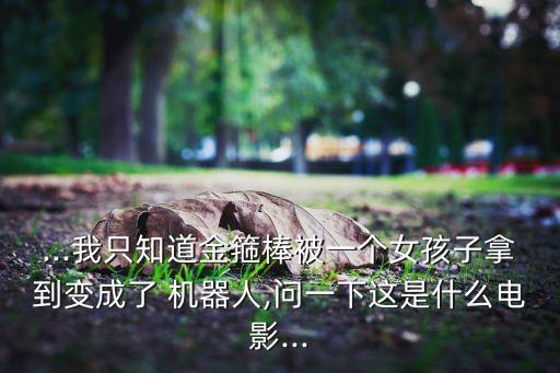 ...我只知道金箍棒被一個(gè)女孩子拿到變成了 機(jī)器人,問一下這是什么電影...