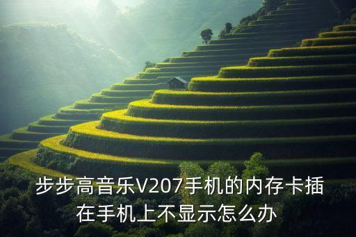  步步高音樂V207手機(jī)的內(nèi)存卡插在手機(jī)上不顯示怎么辦