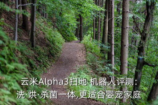 阿爾法機(jī)器人 遙控器