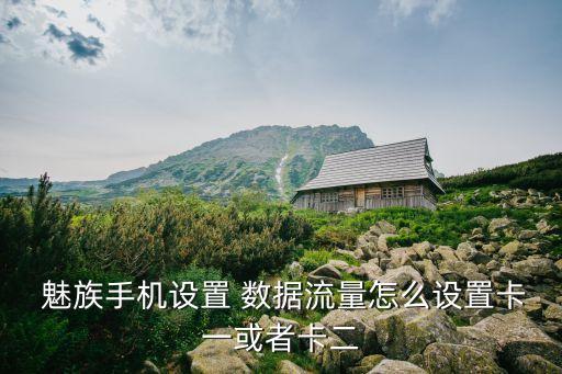 魅族metal雙卡開(kāi)不了數(shù)據(jù)