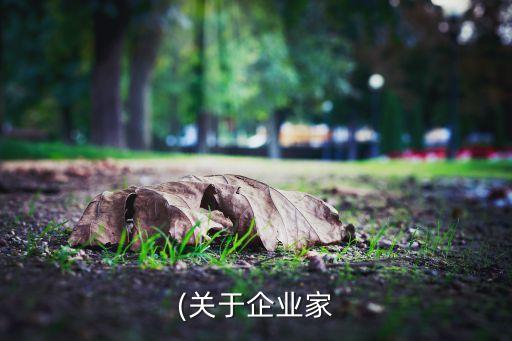 (關(guān)于企業(yè)家