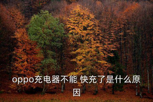 數(shù)據(jù)線快充損壞,蘋果數(shù)據(jù)線沒有損壞充不上電