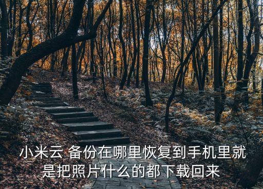  小米云 備份在哪里恢復(fù)到手機(jī)里就是把照片什么的都下載回來