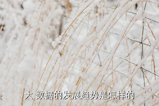 大 數(shù)據(jù)的發(fā)展趨勢(shì)是怎樣的