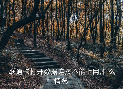 聯(lián)通卡打開(kāi)數(shù)據(jù)連接不能上網(wǎng),什么情況