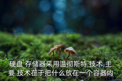 硬盤 存儲器采用溫徹斯特 技術(shù),主要 技術(shù)在于把什么放在一個容器內(nèi)