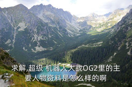 求解,超級 機(jī)器人大戰(zhàn)OG2里的主要人物資料是怎么樣的啊