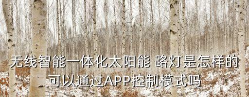 智能型路燈更換機(jī)器人