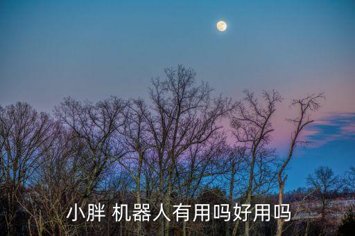 購買小胖機器人,我和小胖機器人450字作文