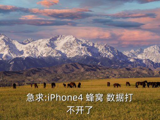 蘋(píng)果4越獄后怎么用蜂窩數(shù)據(jù)