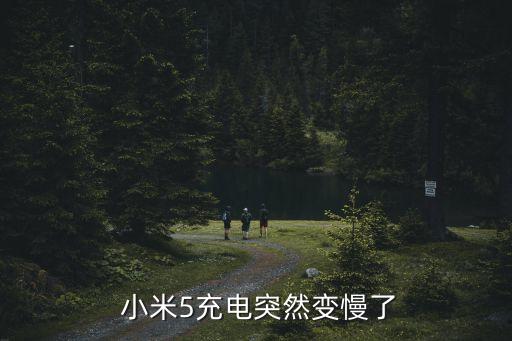  小米5充電突然變慢了