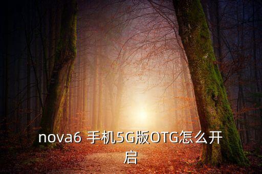 nova6 手機(jī)5G版OTG怎么開啟