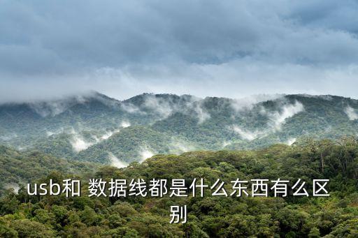 數(shù)據(jù)線(xiàn)前端叫什么,體溫計(jì)前端叫什么
