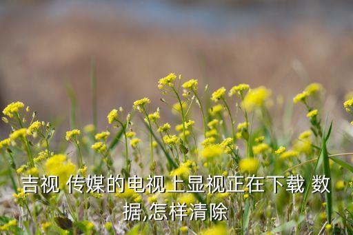 傳媒數(shù)據(jù)