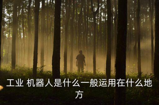 工業(yè) 機(jī)器人是什么一般運(yùn)用在什么地方
