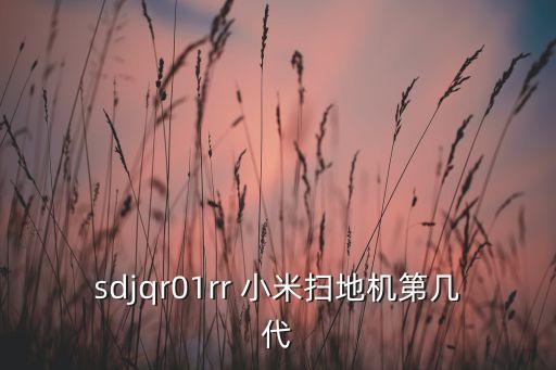sdjqr01rr 小米掃地機(jī)第幾代