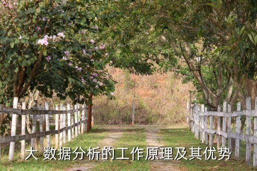 大 數據分析的工作原理及其優(yōu)勢