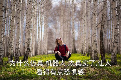 為什么仿真 機(jī)器人,太真實(shí)了,讓人看得有點(diǎn)恐懼感