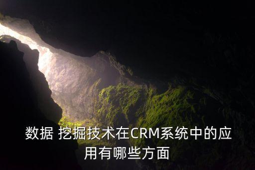  數(shù)據(jù) 挖掘技術(shù)在CRM系統(tǒng)中的應(yīng)用有哪些方面