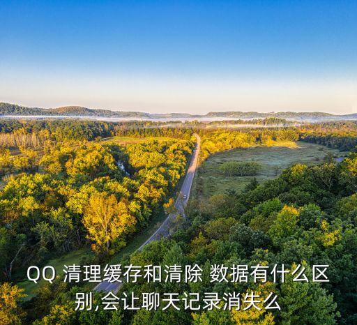 清理qq數(shù)據(jù)后果,清理蘋果的系統(tǒng)數(shù)據(jù)有什么后果?