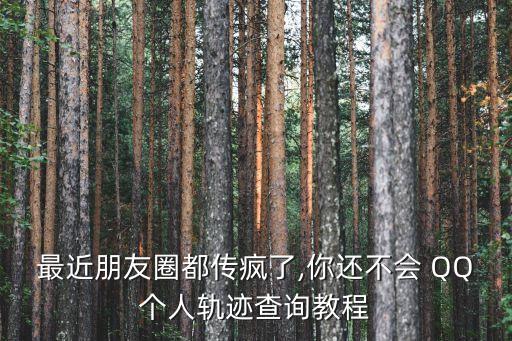 最近朋友圈都傳瘋了,你還不會 QQ個人軌跡查詢教程