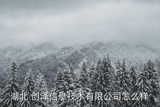 湖北 創(chuàng)澤信息技術(shù)有限公司怎么樣