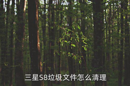  三星S8垃圾文件怎么清理