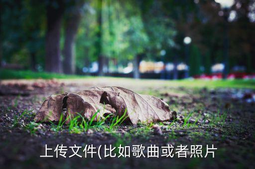 手機360 上傳數(shù)據(jù),怎么把360從手機上傳到電腦上