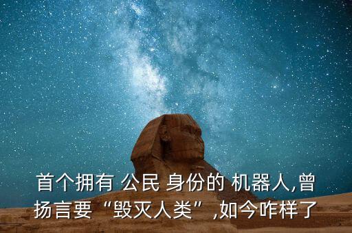 予公民身份的機(jī)器人索菲亞,索菲亞被授予沙特公民身份