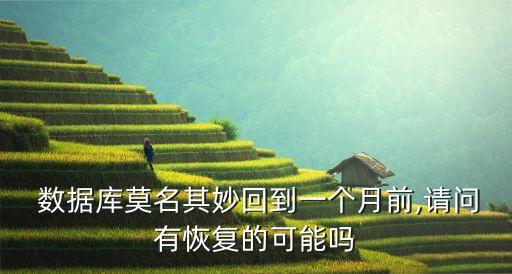  數(shù)據(jù)庫莫名其妙回到一個(gè)月前,請(qǐng)問有恢復(fù)的可能嗎