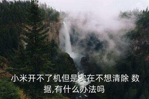  小米開不了機但是實在不想清除 數(shù)據(jù),有什么辦法嗎