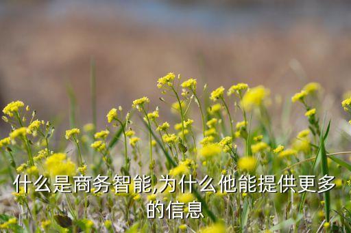 數(shù)據(jù)挖掘的商業(yè)價值是什么,論述大數(shù)據(jù)挖掘商業(yè)價值的三種主要方法