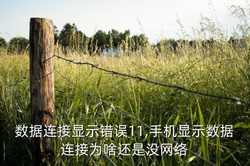 數(shù)據(jù)連接顯示錯誤11,手機(jī)顯示數(shù)據(jù)連接為啥還是沒網(wǎng)絡(luò)
