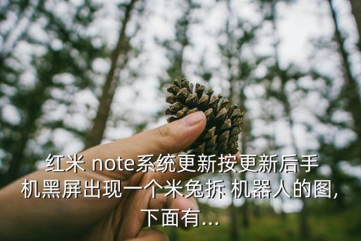  紅米 note系統(tǒng)更新按更新后手機黑屏出現(xiàn)一個米兔拆 機器人的圖,下面有...