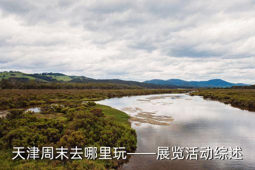世界機(jī)器人博覽會(huì)時(shí)間,2022世界機(jī)器人博覽會(huì)