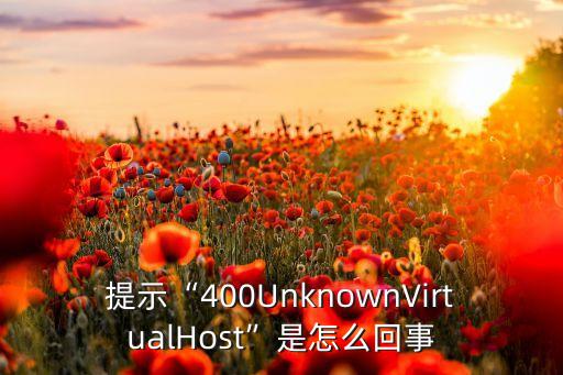 提示“400UnknownVirtualHost”是怎么回事