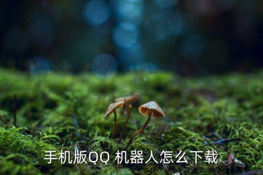 qq聊天機器人 2017,QQ聊天機器人app