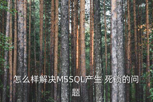 怎么樣解決MSSQL產(chǎn)生 死鎖的問題
