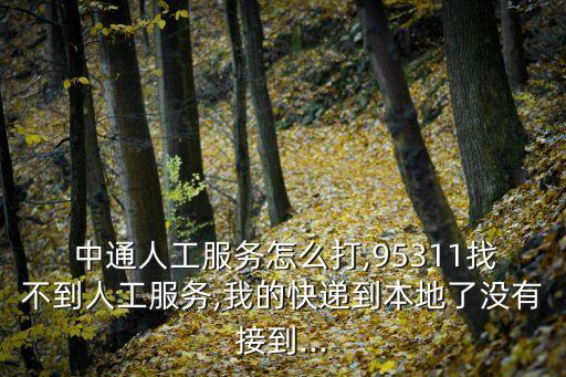  中通人工服務怎么打,95311找不到人工服務,我的快遞到本地了沒有接到...