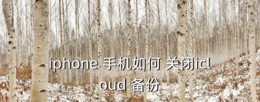 iphone 手機(jī)如何 關(guān)閉icloud 備份